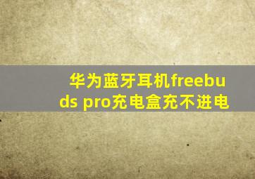 华为蓝牙耳机freebuds pro充电盒充不进电